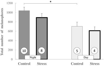 A new insight into the pigmentation of the three-spined stickleback exposed to oxidative stress: day and night study